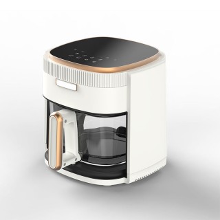 Simple electric air fryer with viewing