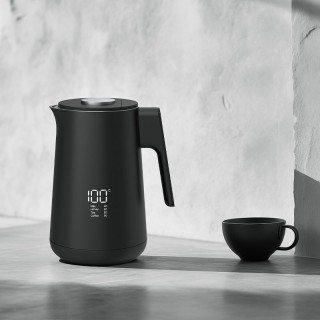 Temperature-controlled 304 stainless steel electric kettlectric kettle